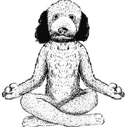 Peace of Mind Dog Care