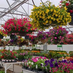 TLC Garden Center