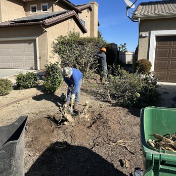 Edmar Tree Service & Landscaping - Landscaping Near Me Edmar Tree Service & Landscaping - Landscaping Near Me