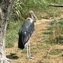 Photo of Parc des Oiseaux