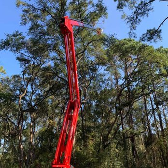 A Cut Above Tree Experts - Tree Services Near Me - Wilmington, North Carolina