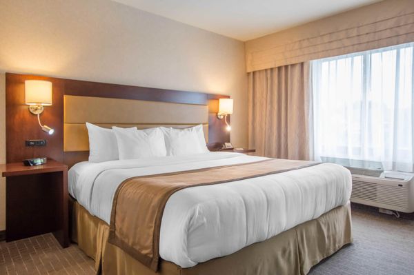 Quality Inn & Suites by null
