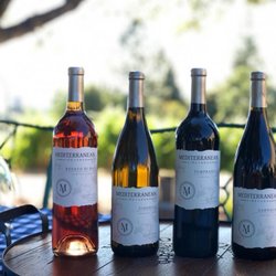 Mediterranean Vineyards - Mediterranean Vineyards Wines