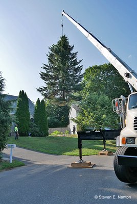 ARBORTECH TREE SERVICES - Updated June 2026 - 19 Photos - 23 Paridon St ...