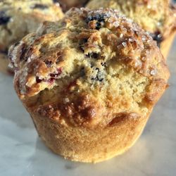 Sourdough blueberry buttermilk muffins