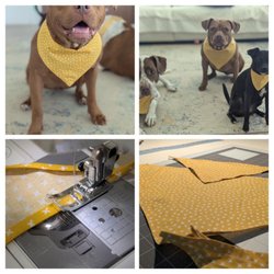 Sewing Joyce - Dog bandanas