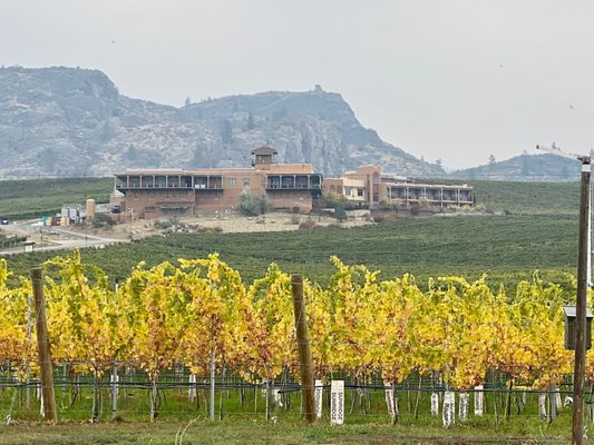 Burrowing Owl Estate Winery by null