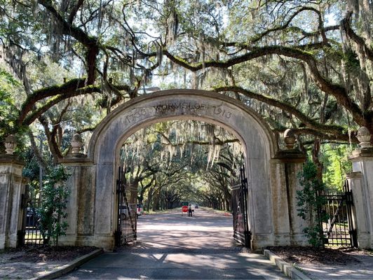 Wormsloe Historic Site by null