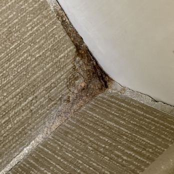 Comfort Suites Normal University Area - mold in every corner - Hotels Near Me - Normal, Illinois Comfort Suites Normal University Area - mold in every corner - Hotels Near Me - Normal, Illinois