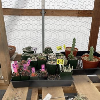 11:1 Succulent Nursery - Nurseries & Gardening Near Me - Whittier, California 11:1 Succulent Nursery - Nurseries & Gardening Near Me - Whittier, California