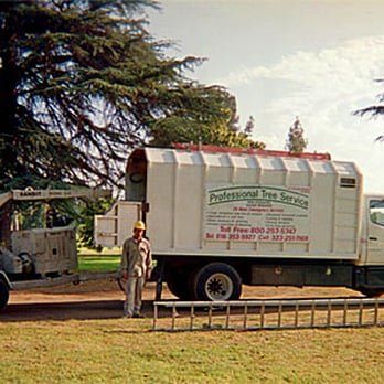 Professional Tree Service - Landscaping Near Me Professional Tree Service - Landscaping Near Me