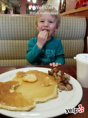 Billy's Homestead by null