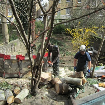 Wassells Tree Services - Tree Services Near Me - London, XGL