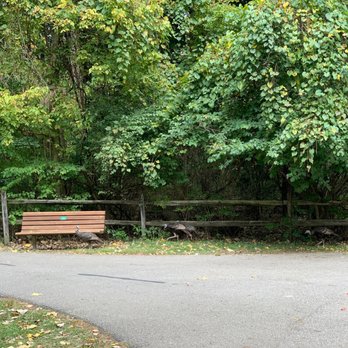 Blendon Woods Metro Park - Parks Near Me - Westerville, Ohio