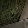 Brooks Sprinkler Care