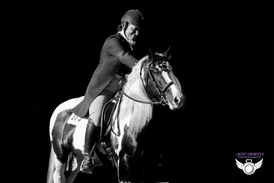 CJ Baker Horse Training & Horse Riding Lessons - equestrian in Mapleton, IL