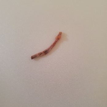 El Super Taco - Gotta love finding chicken bones in my enchiladas. - Mexican Near Me - Fountain, Colorado