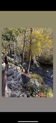 Briar Patch Inn by null