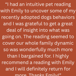 Dahlia Healing Arts - Testimonial