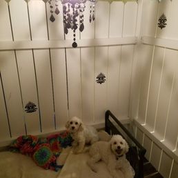 Lucky Dog Pet Services 6610 Broadway St Quincy Il Phone Number Yelp