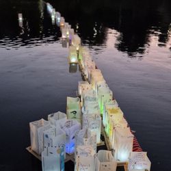 Lotus Festival Echo Park - Lanterns