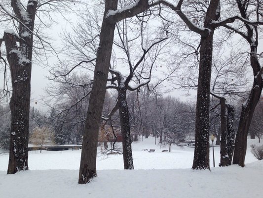 Parc Westmount by null