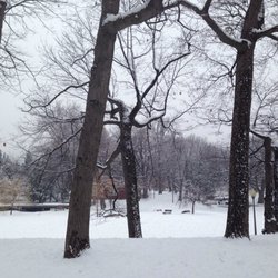 Parc Westmount - #Winterwonderland in #Westmount