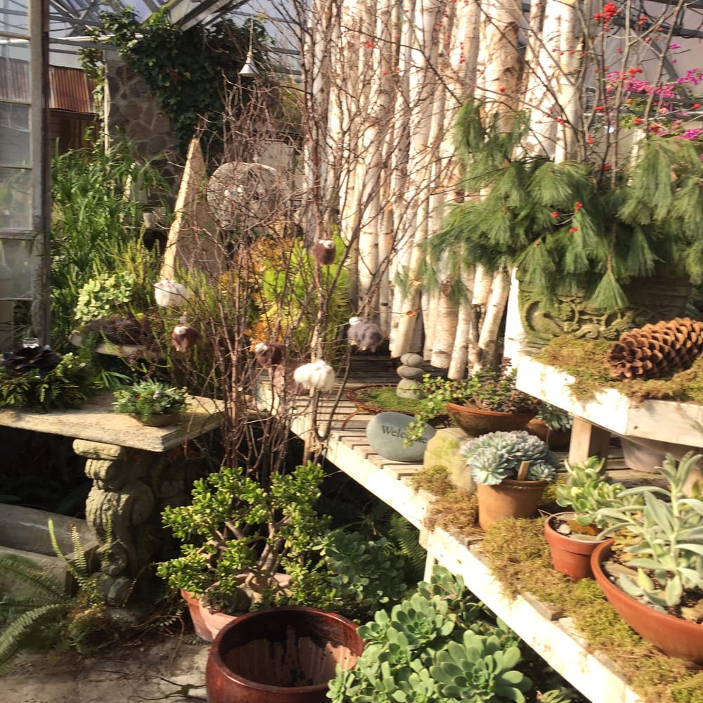 THE WEED LADY Updated September 2024 9225 Fenton Rd, Grand Blanc, Michigan Nurseries