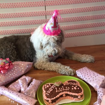 Biscotti Hound Dog Biscuit Bakery - Pet Stores Near Me - Denver, Colorado