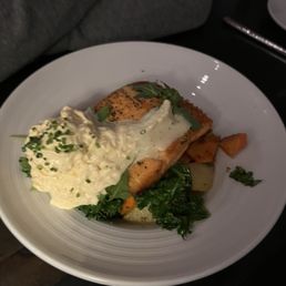 Salmon