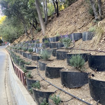 Kathy’s Landscaping - Landscaping Near Me - Newhall, California Kathy’s Landscaping - Landscaping Near Me - Newhall, California