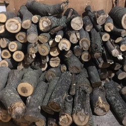 Junior's Tree Service - Perfectly sized firewood that Jr. Tree service offered to save for me.