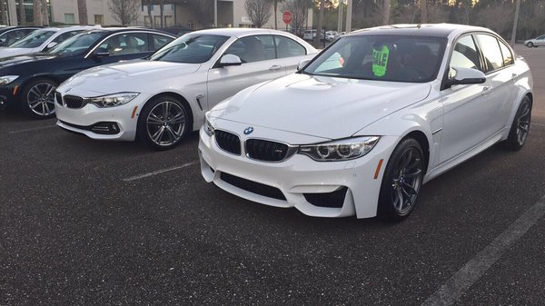 TOM BUSH BMW ORANGE PARK - Updated August 2025 - 20 Photos & 61 Reviews ...