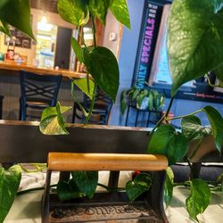 PB & J's - Inside, lots of plants