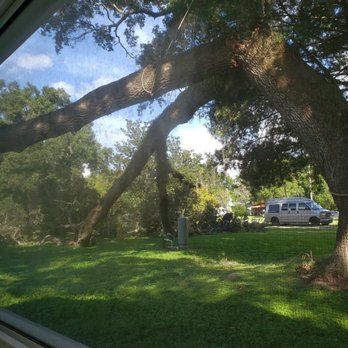 Ike's Tree Service - Tree Services Near Me - Zephyrhills, Florida Ike's Tree Service - Tree Services Near Me - Zephyrhills, Florida