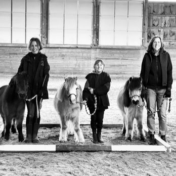 Topfield Equestrian Center - Ground work with mini horses. - Horseback Riding Near Me - Cold Spring, New York Topfield Equestrian Center - Ground work with mini horses. - Horseback Riding Near Me - Cold Spring, New York