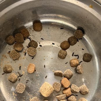Academy Lane Apartments - Rat droppings in my dogs food bowl. Had to throw out all my dogs food - Apartments Near Me - Davis, California Academy Lane Apartments - Rat droppings in my dogs food bowl. Had to throw out all my dogs food - Apartments Near Me - Davis, California