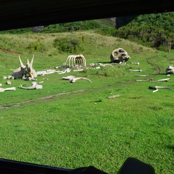 Conservation Adventure Tour - Tours Near Me - Kaneohe, Hawaii