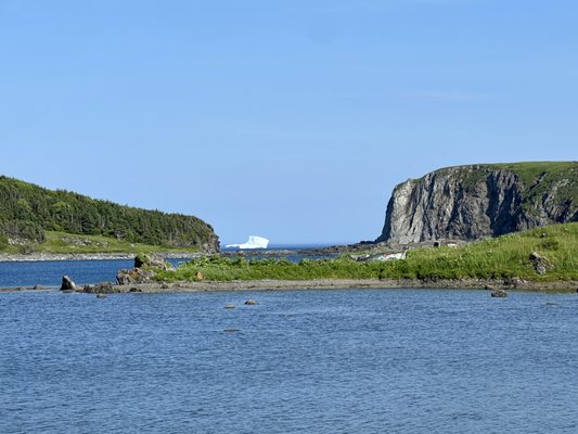 Daily Catch Restaurant by null