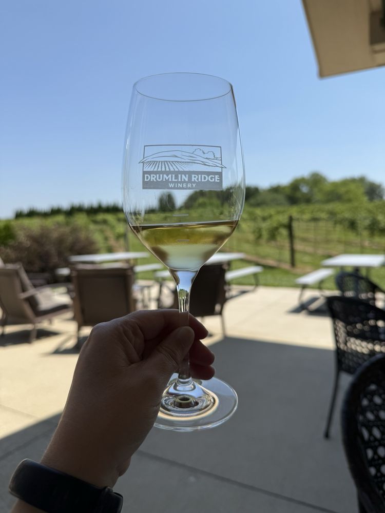 Drumlin Ridge Winery - vineyard in Waunakee, WI