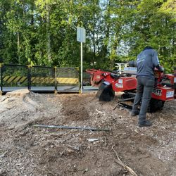Live Green Tree Service