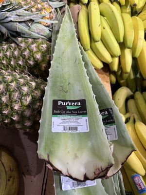 Wedge Lyndale by null