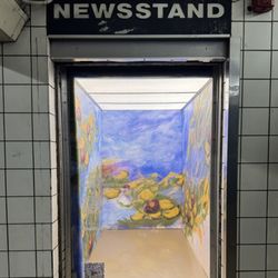 MTA Subway - 5th Ave/53rd St - Fifth Ave 53rd St Subway Station - Kathleen Marie Ryan "Nympheas Rouge, Reflections of Spring" 2025, ChaShaMa Installation, Downtown Level