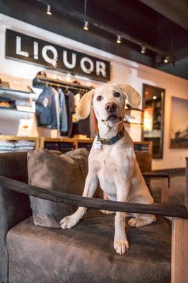 Love, Tito's by null