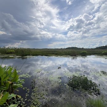 Palmetto Trailhead Park - Parks Near Me - West Palm Beach, Florida Palmetto Trailhead Park - Parks Near Me - West Palm Beach, Florida