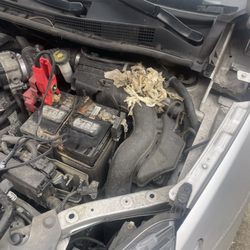 Cherry Hill Nissan - My front hood of my car