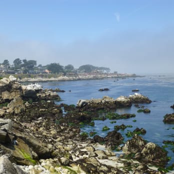 Creative Property Management - Property Management Near Me - Monterey, California Creative Property Management - Property Management Near Me - Monterey, California