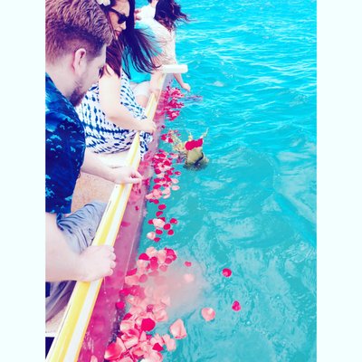 Waikiki Beach Services @ Royal Hawaiian by null
