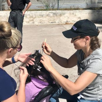 Lice Spies - Volunteering to treat at-risk youth in Mexico. - Lice Services Near Me - Edmonds, Washington Lice Spies - Volunteering to treat at-risk youth in Mexico. - Lice Services Near Me - Edmonds, Washington