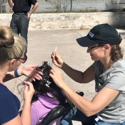 Lice Spies - Volunteering to treat at-risk youth in Mexico.
